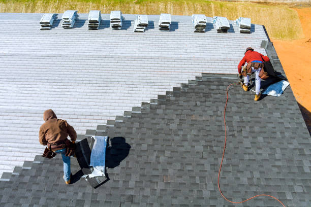 Professional Roofing Contractor in Elfers, FL