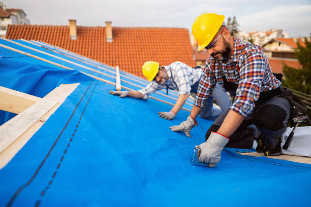 Best Roof Maintenance Services  in Elfers, FL