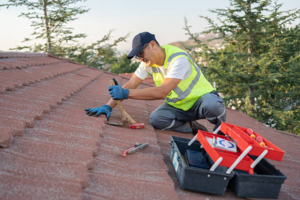 Best Best Roofing Contractors  in Elfers, FL