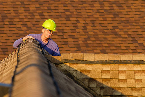 Best Flat Roof Repair Services  in Elfers, FL