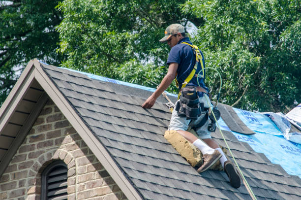 Quick and Trustworthy Emergency Roof Repair Services in Elfers, FL